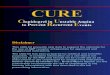 Core CURE Slide Kit 9-06-011
