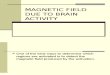 Magnetic Field Due to Brain Activity