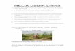 Cultivation of Melia Dubia (2) (1)