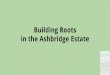 Building Roots in Ashbridge Estate