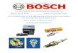 Bosch Sparkplug Catalog