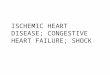 Ischemic Heart Diseasef03