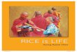 RICE is LIFE exhibition catalogue by Aung Kyaw Htet