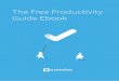 The Free Productivity Guide Book