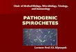 Pathogenic Spirochetes