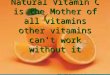 Vit C the Mother of All Vits