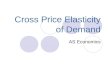 Cross Price Elasticity
