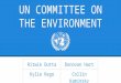 UN: Environment Project