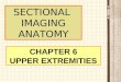 Chapter 6 Upper Extremities