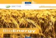 SETIS Bioenergy