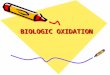 K.50-51 1.Biology Oxidation