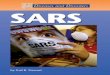 SARS, 2004