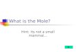 What is the Mole