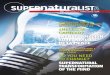 Supernaturalist Magazine June2014