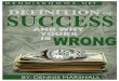 The True Definition of Success Final 111218021132 Phpapp02