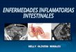 Enfer Inflam Intestinal Final