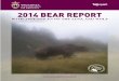 Bear Report 2014