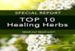 Healing Herbs Report