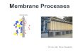 membrane processes.ppt