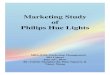 Marketing Study of Philips Hue Lights