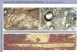 Carbonate sedimentary rocks-Lecture 2014-2015 41-80