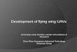 Development of Flying Wing UAV