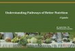Understanding Pathways of Better Nutrition