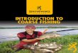 Introduction to Coarse Fishing
