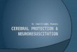 Cerebral Protection & Neuroresuscitation