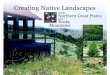 Guide to Creating Landscapes in the Northern Great Plains and Rocky Mountains