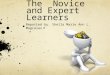 The Novice and Expert Learners