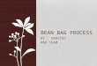 Bean Bag Process
