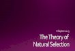 The Theory of Natural Selection 10.3