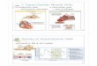 2402 Ch 19 cardiovascular system (Part 2) PPT.pdf