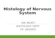 K2 - Histology of Nervous System