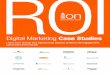 2013 ROI CaseStudies Ion