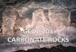 11) Carbonate Rocks