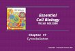 ECB3e Ch 17 Cytoskeleton