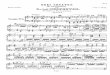 Beethoven Op 10 No 2 Scan