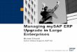 Managing MySAP ERP Upgrade in Large Enterprise