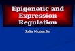 Epigenetic and Expression Regulation -.ppt