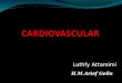 6#Radiologi Sistem Kardiovasuler