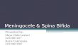 Meningocele & Spina Bifida