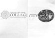 Collage City - Colin Rowe, Cambridge