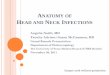 Hn Infections Pic 2011 11