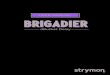 Strymon Brigadier User Manual