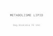 MS K8-12 - Metabolisam Lipid