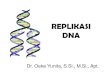 HO Replikasi DNA