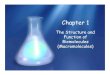 Chapter 1 Bio Molecules