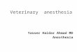 Veterinary Anesthesia [Autosaved]